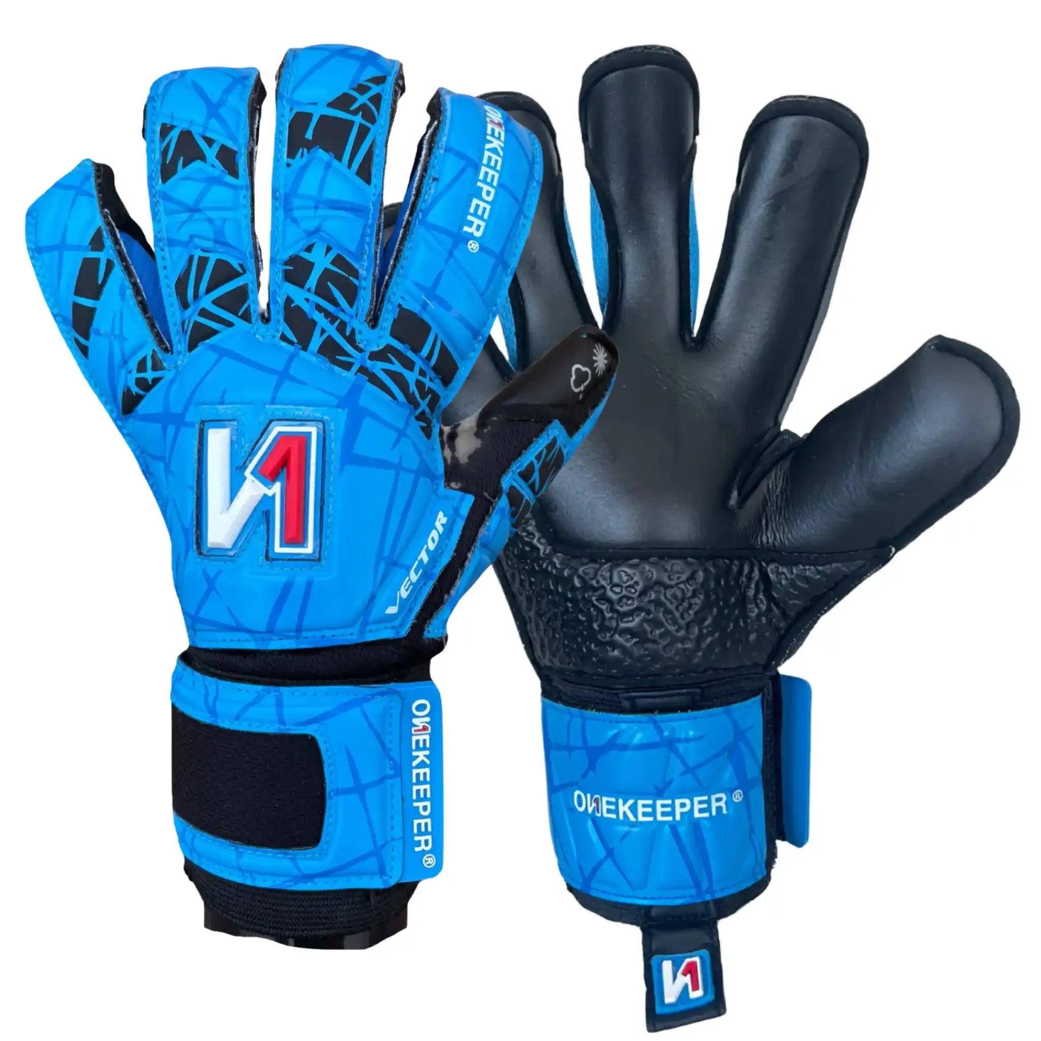 ONEKEEPER Vector Evolution Blue Two Hands