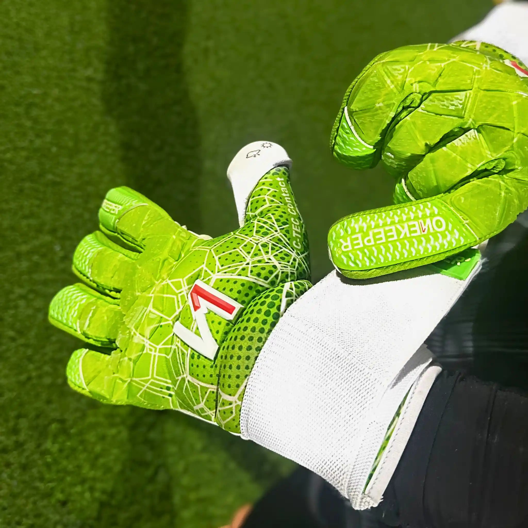 C-TEC Green and White